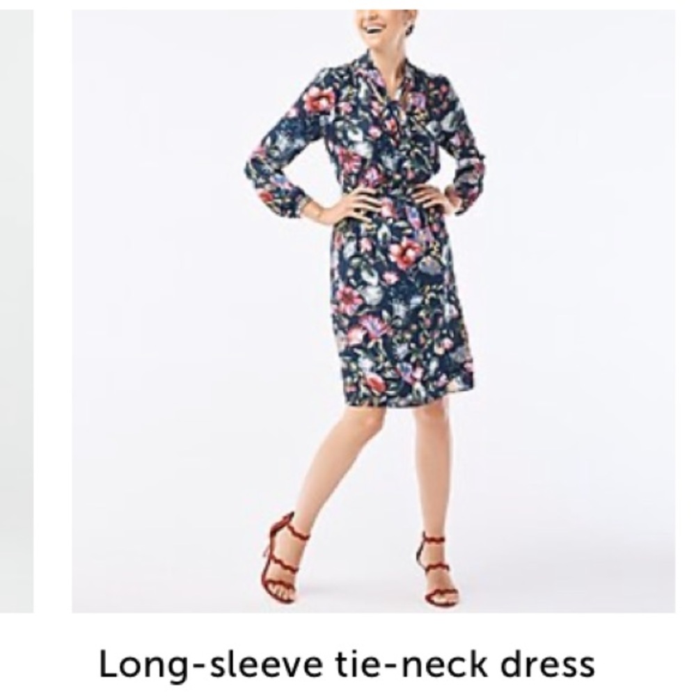 J Crew long sleeve tie neck dress